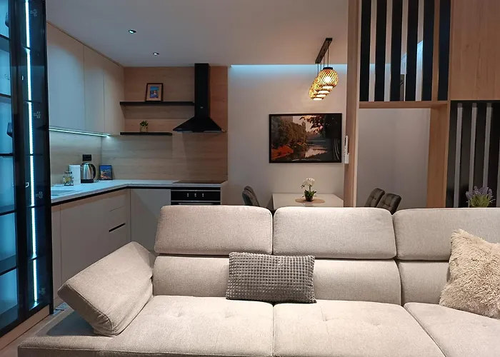 Vils With Apartament